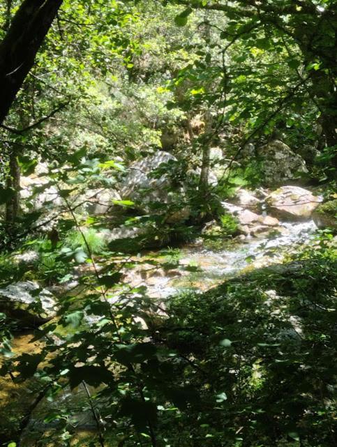 Вилла O Recuncho Da Isa - Ribeira Sacra Перейро-де-Агиар Экстерьер фото